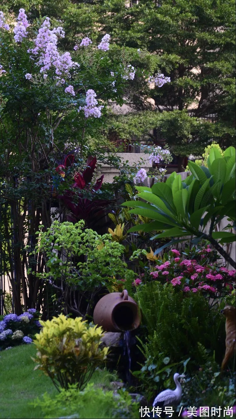 三角梅|120㎡别墅花园改造,经过三年的努力,小院从荒地到花开满园
