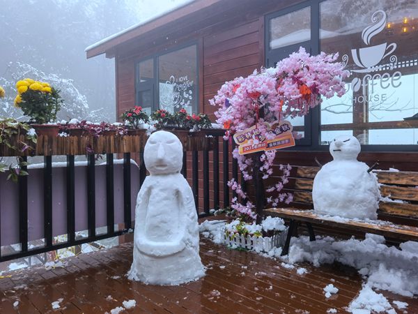 老界岭|南阳老界岭迎来连续降雪 厚度达25厘米