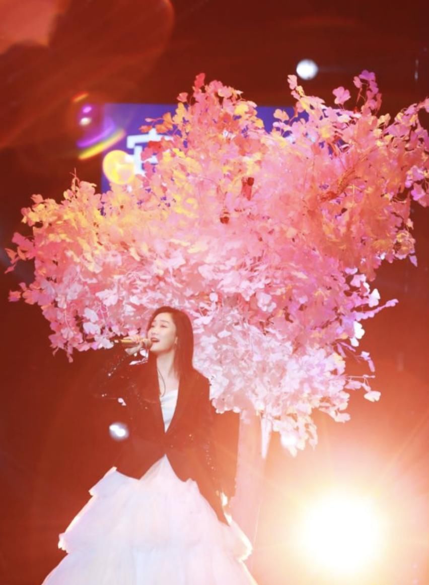 杜海涛妈妈首度加盟《百变大咖秀》 锤娜丽莎沈梦辰再模仿歌手？