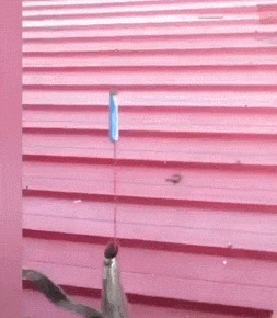 |搞笑GIF：难怪这妹子的做的东西味道十足的！原来如此