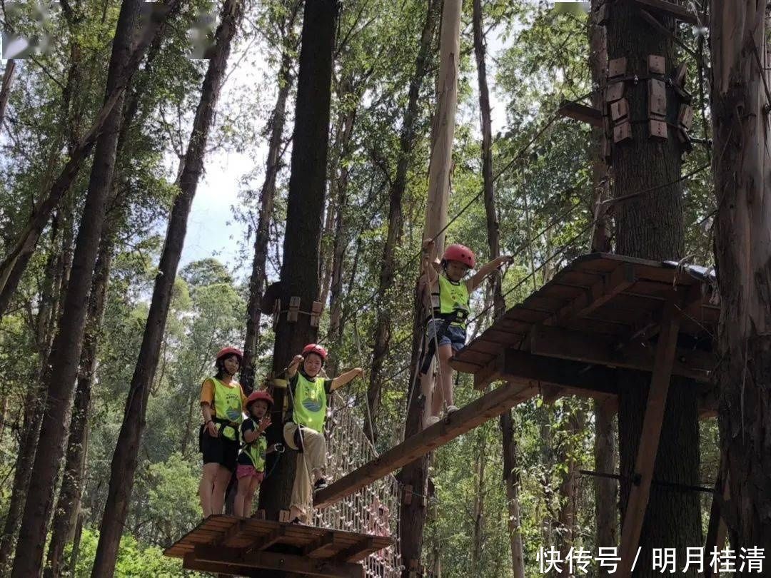 亲子大作战飞越丛林、默契考验……桥南街萌娃和父母户外拓展，尽享天伦之乐