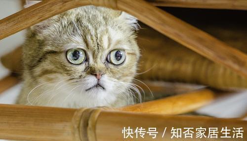 |幽默笑话:我跟哥哥是双胞胎,我们两个人长得特别像。上学的时候