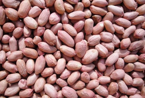 抗癌|冬季多吃“长寿果”，护心脑抗癌不显老，但这4类人千万别吃！