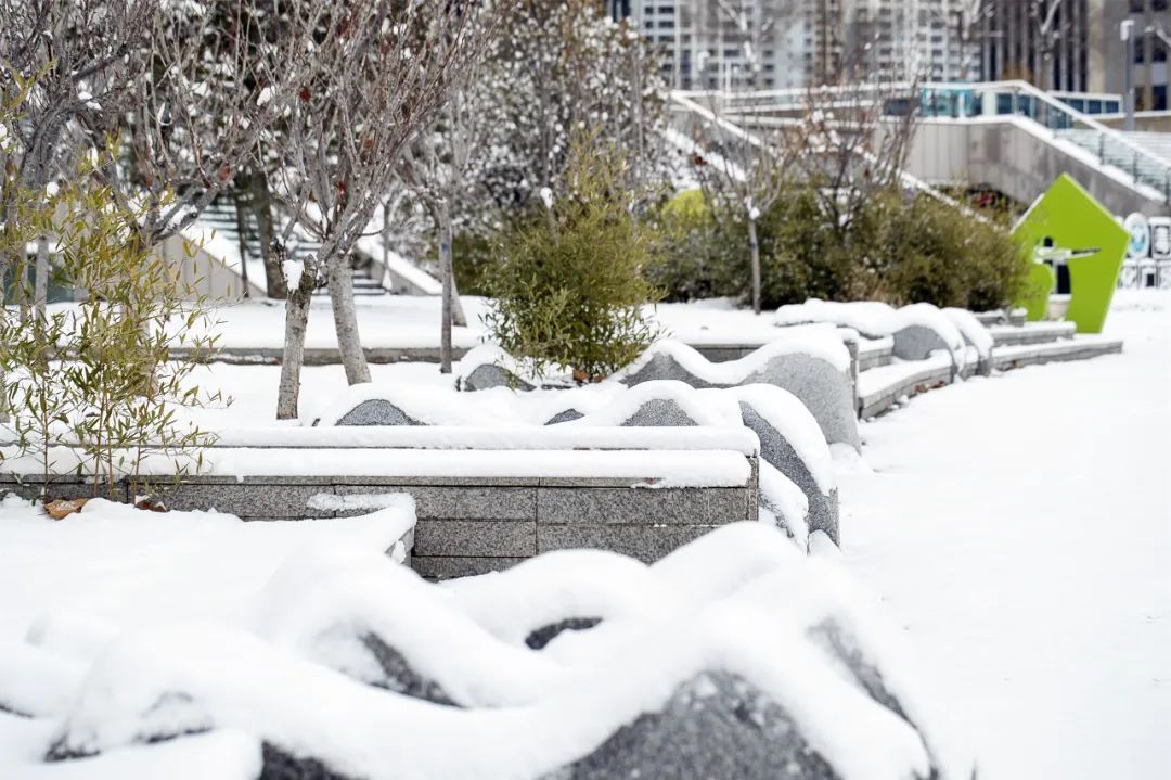 孙俊杰|多图！雪中的烟台高新区美出新高度