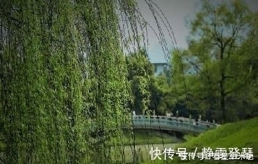 柳丝!杜牧的三首咏柳诗情深意浓,风格各异,耐人寻味