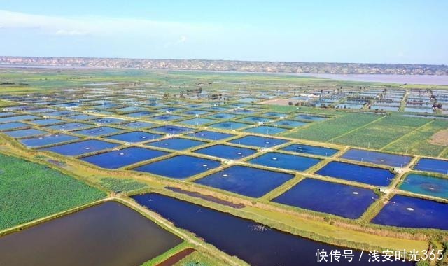 黄河最美在洽川