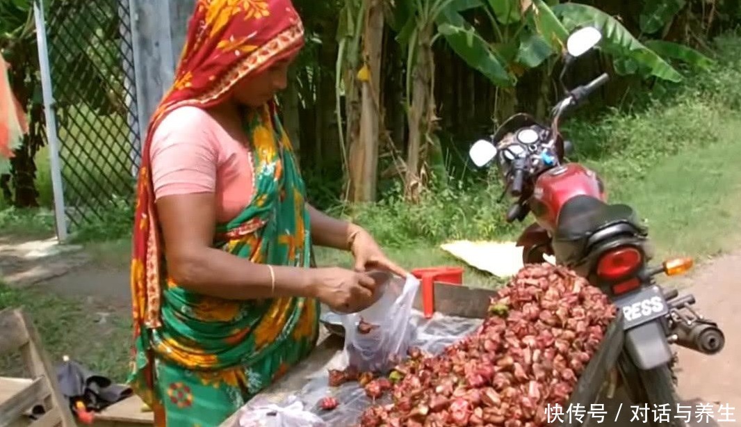 泛滥成灾|印度从中国引进一种植物,穷苦百姓非常喜欢,现在却要泛滥成灾了