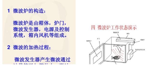 视锥细胞|4个你深信不疑的“常识”,其实都是错的?尤其第3个骗了不少人