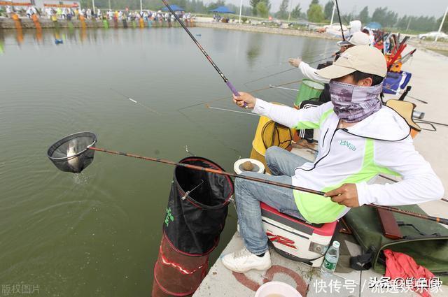 钓场|“因为蹭窝,他往水里丢了块砖”,黑坑最易引发矛盾的3件事