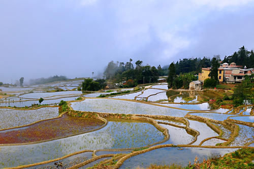 梯田|开车一小时海拔升高两千米，还全是盘山公路，却意外发现了蓝色梯田