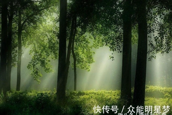 古希腊|8个新鲜有趣的冷知识,快来看看吧!