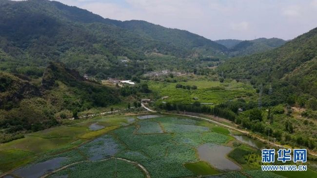 腊味|舌尖上的年味：农村晾晒腊味场景壮观