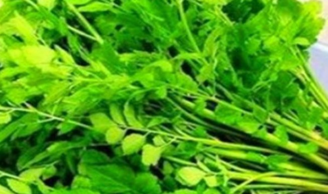 药用|想长寿要会吃,多吃的食物,降压减脂,净化血管,有益健康