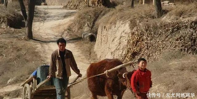 何荣锋|1993年,女青年救了小乞丐,20年后,对方拿百万支票报恩