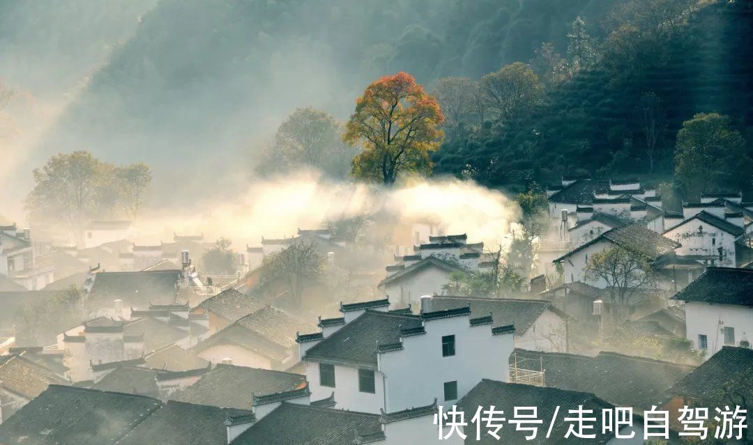 自驾|北上看雪，南下看花，这12个地方承包年末旅行