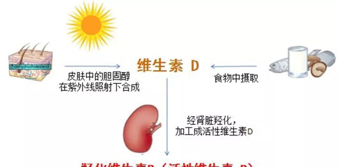 靠曬太陽補鈣：不懂這些小竅門，曬了等于白曬