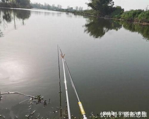 调漂|用加粗尾浮漂野钓,调漂不对难上鱼,老钓友解析加粗尾的调钓方法