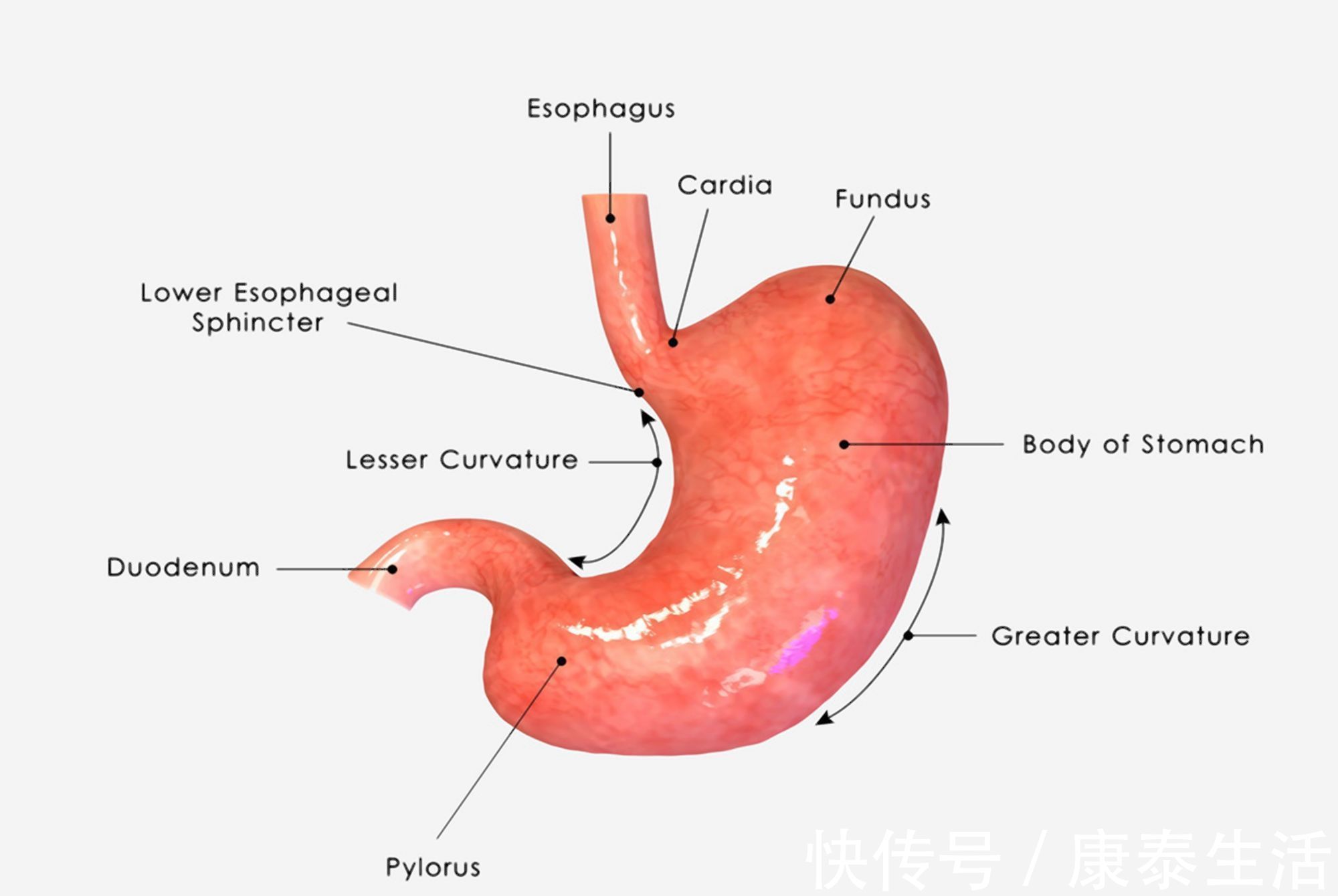 饮料|5岁孩子将饮料当水喝引肚疼,专家警告三种饮料危害不浅,需谨慎