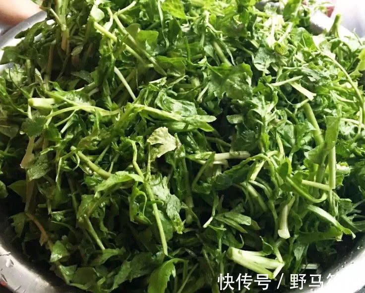 蒸土豆泥|减肥别吃土豆,几种蔬菜刮油高手,当晚餐隔天排宿便