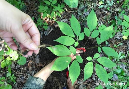 不良习惯|男性开始衰老时,晨起后,有2种表现,若一个不占,说明你还年轻