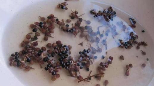 宫寒|女性常用花椒敷2处,不出30天,子宫变暖,赘肉也慢慢变少!