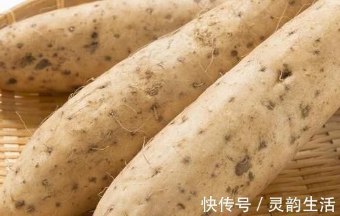 根须|买山药时多留意,遇到4种不要买,不好吃不新鲜,以后别再买错