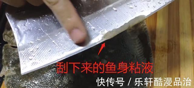 鱼类|多宝鱼清蒸有点腥,怎么做才能去腥、更加美味呢