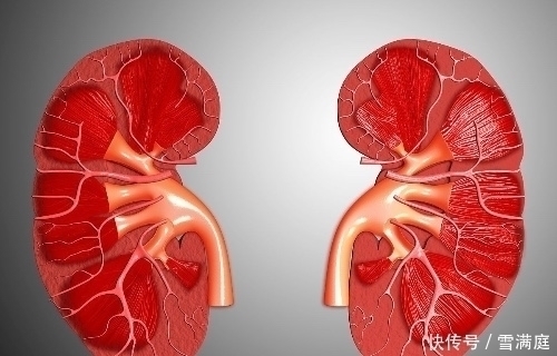 保健品|尿毒症发出的第一个信号，经常是这种异常，你却一拖再拖