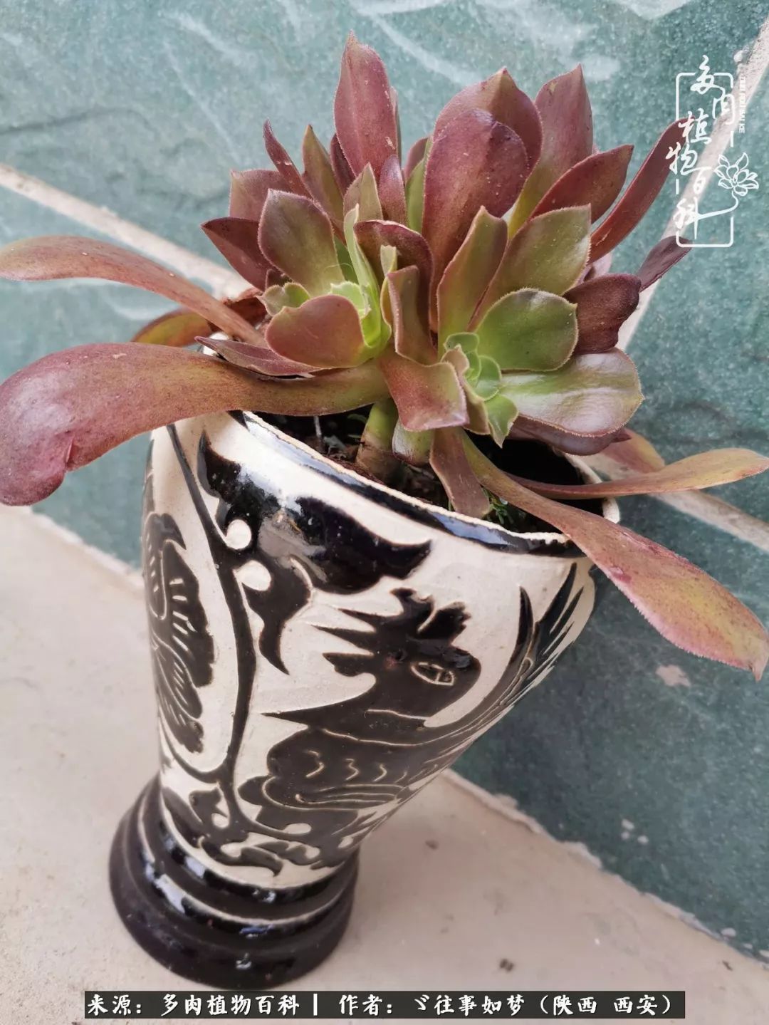 愿你付出甘之如饴，愿你所得归于欢喜！