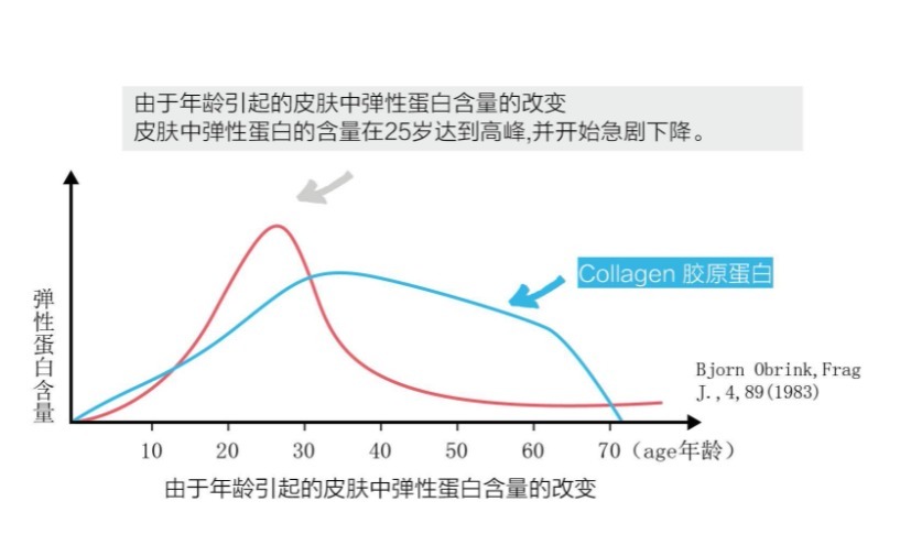 护肤 关注护肤养肤的人一定要了解胶原蛋白肽和弹性蛋白肽