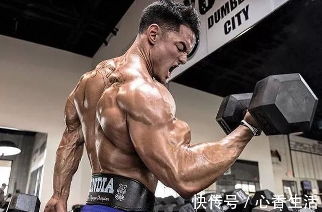 二头肌|我们肱二头肌围度迟迟不能突破?你可能忽略了这些!