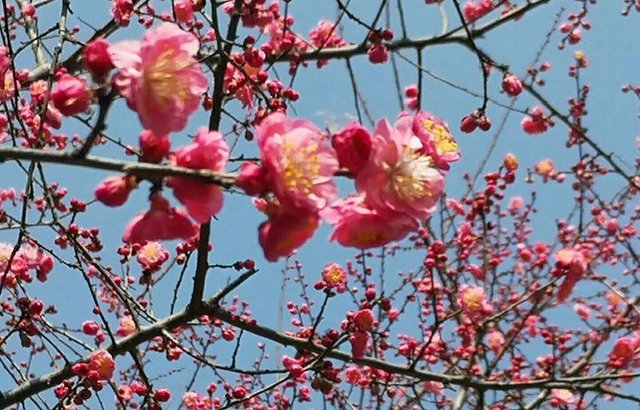 庆云#诗词:秃笔投枪抵万兵，横眉立目骨铮铮