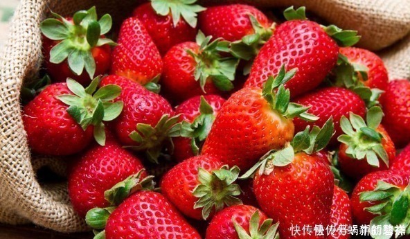 苹果|孕妇在东西时必须特别小心，这些水果适合孕妇常吃，对宝宝好