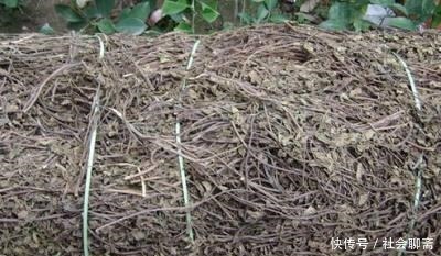 六本搞笑轻松向爽文推荐,让你爆笑不已