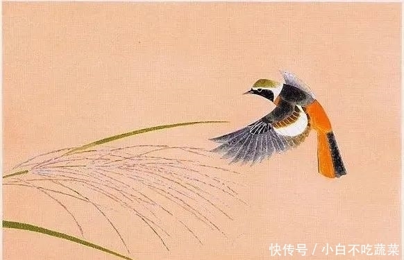这画中的小生命，纯净天真