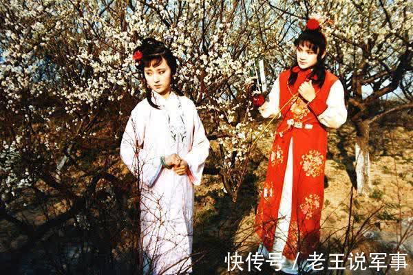 王夫人|薛宝钗吃的冷香丸是假的,答案藏在药方里,林黛玉一句话点破谎言