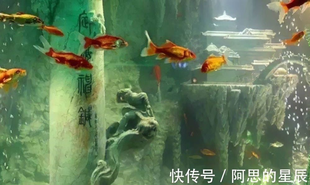 动画电影|如意金箍棒先后有四任主人,除了孙悟空,其他3位是谁