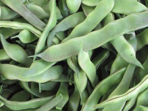 牛奶|这菜一年到头都很贵，但是补钙比牛奶还强，再贵也值得！