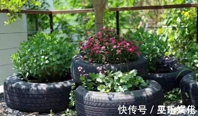 花盆别买了,家里找一找就有,不要的牛仔裤也能当花盆养花