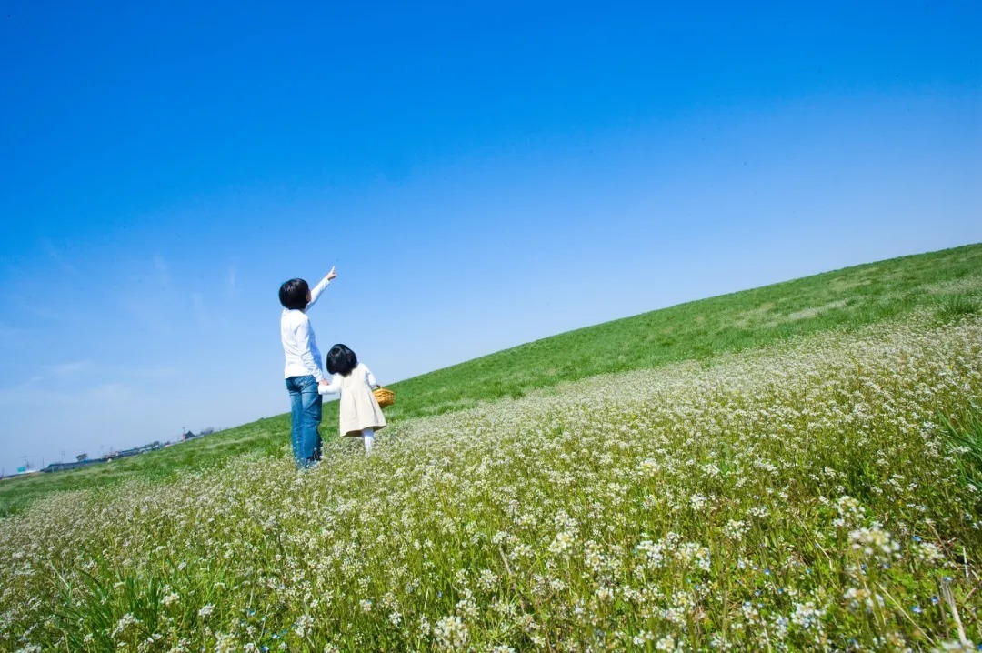 娃娃|李玫瑾:你给孩子什么性格,他就什么命