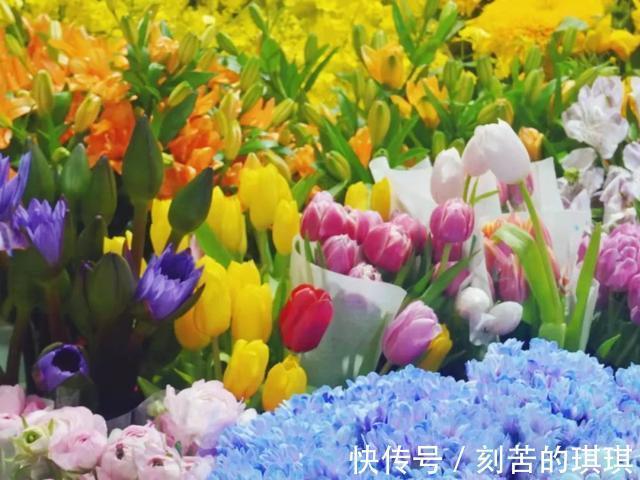 美翻！送上一份济南宝藏花卉市场指南，冬日一半的浪漫都在这里！