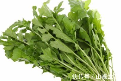 马齿苋|五种常见野草,能使白发逐渐变黑发,今后不用依靠染发剂了!