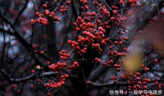  苏州人的宝岛秘境，美成仙境，却被时光遗忘！