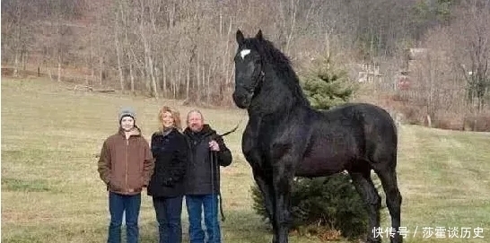 世界之最|吉尼斯世界之最:男子仅一分钟打破纪录,第四项未成年少女的最爱