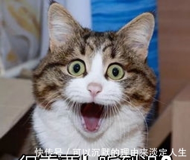 护肤|巨实用的孕期护肤方法,从此拒绝伤脸伤钱,只选稳赚不赔的护肤品