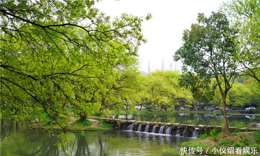 木棉|杭州的春天也太早了，来茅家埠赏风景挖野菜，寻找春天的气息