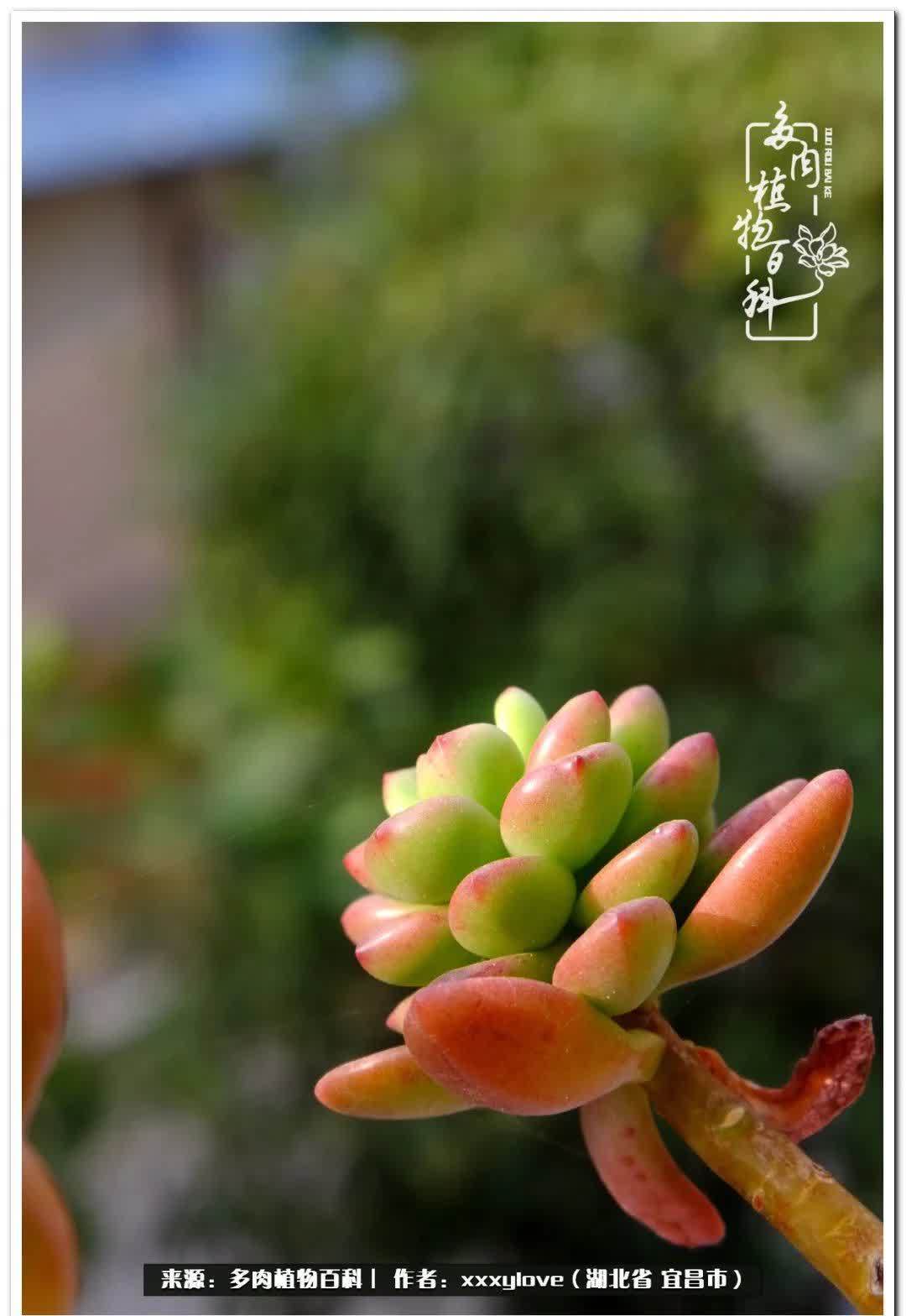 时光匆匆,一闪而逝,这世间万物的美,都值得被记录!