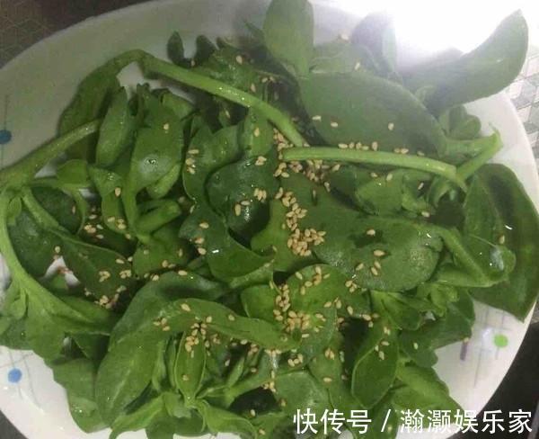 金耳钩|“天然阿莫西林”就是它,秋季常吃,强健体质,清热解毒