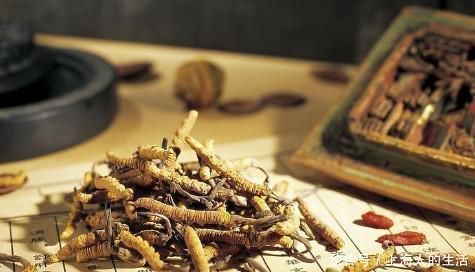 柔肝|百病从“肝”治!名老中医治肝十二法!满满干货!一定不能错过!