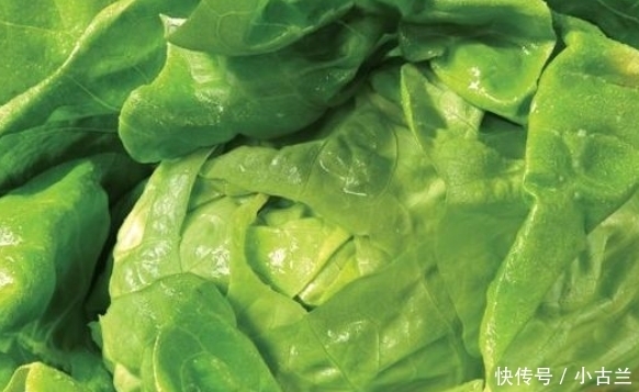 包菜|包菜不要炒了,教你一个新吃法,上桌分分钟抢光,学到就是赚到!